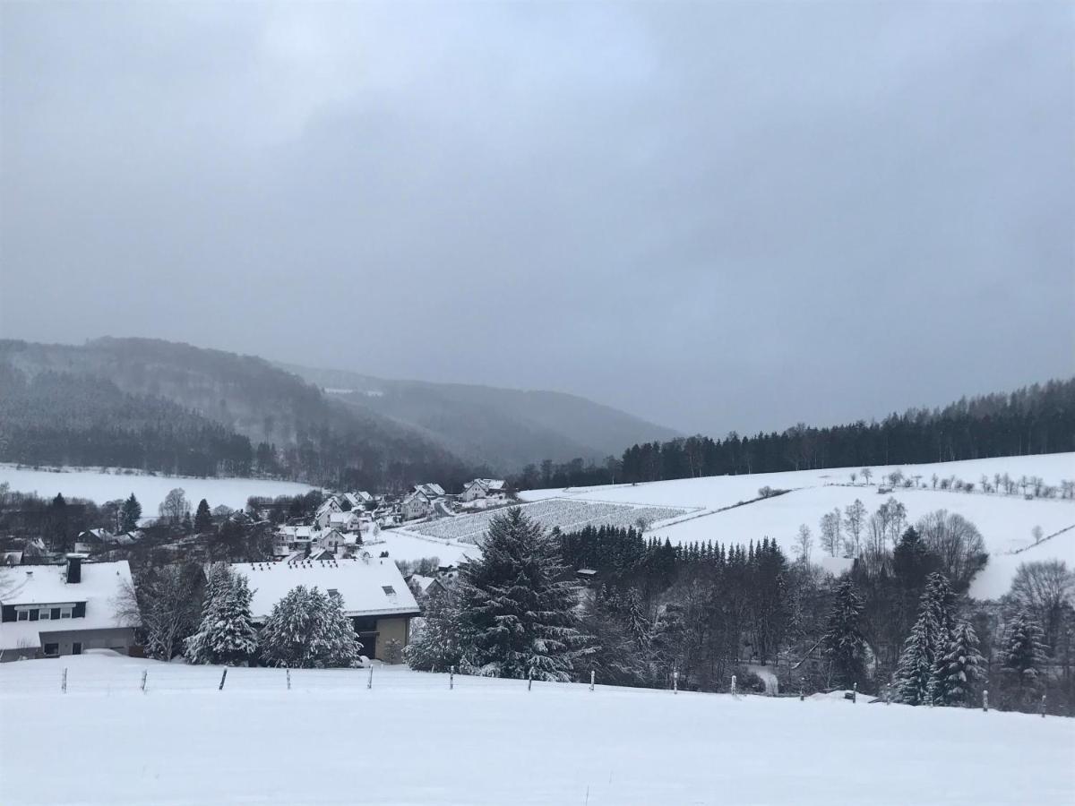 Appartement Familie Willems Winterberg Am Waltenberg Экстерьер фото